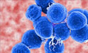 streptococcus pneumoniae (pneumococco)